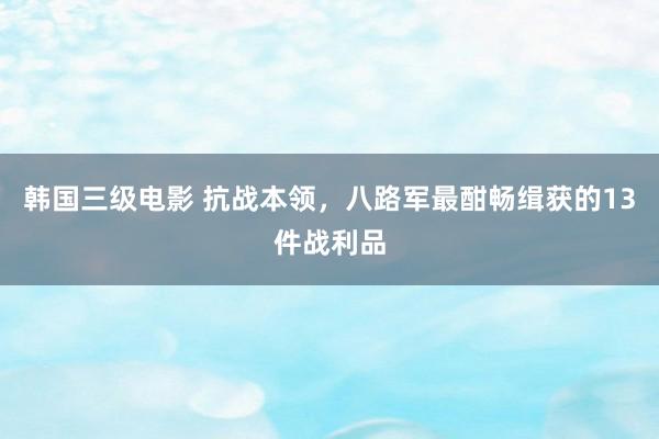 韩国三级电影 抗战本领，八路军最酣畅缉获的13件战利品