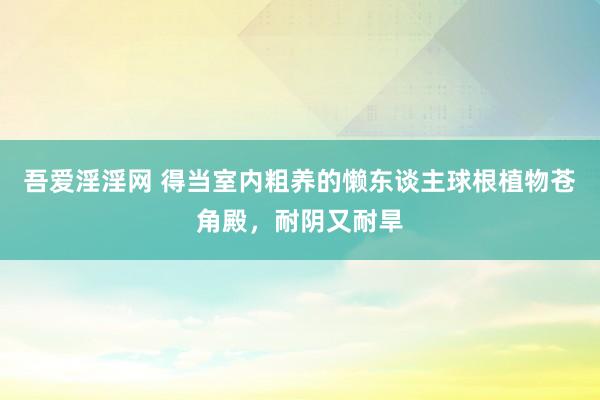 吾爱淫淫网 得当室内粗养的懒东谈主球根植物苍角殿，耐阴又耐旱