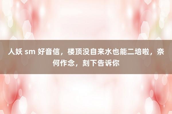 人妖 sm 好音信，楼顶没自来水也能二培啦，奈何作念，刻下告诉你