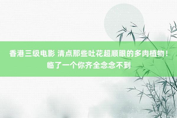 香港三级电影 清点那些吐花超顺眼的多肉植物！临了一个你齐全念念不到