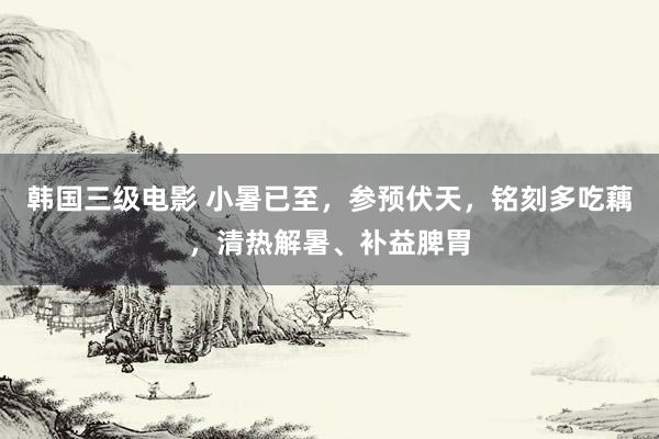 韩国三级电影 小暑已至,参预伏天,铭刻多吃藕,清热解暑、补益脾胃