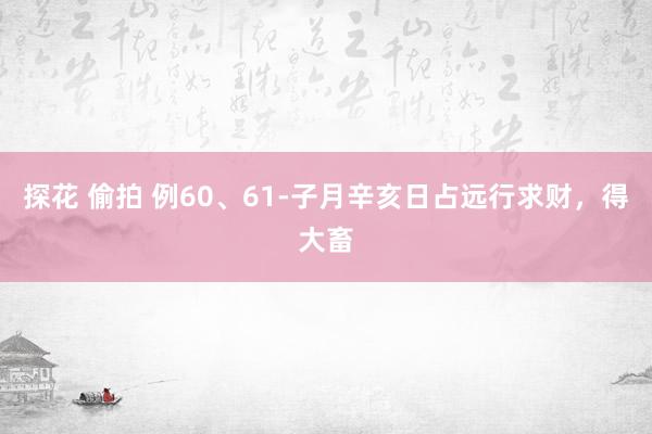 探花 偷拍 例60、61-子月辛亥日占远行求财，得大畜
