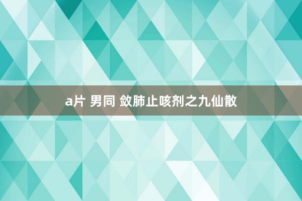 a片 男同 敛肺止咳剂之九仙散