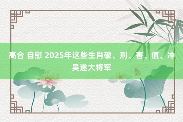 高合 自慰 2025年这些生肖破、刑、害、值、冲吴遂大将军
