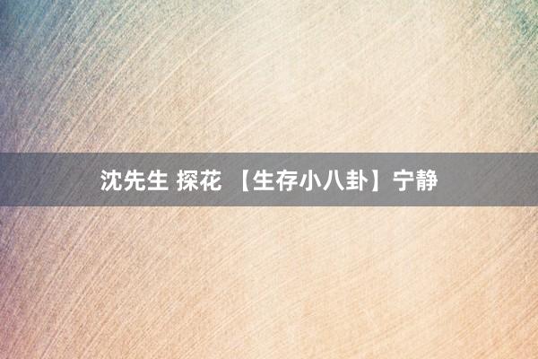 沈先生 探花 【生存小八卦】宁静